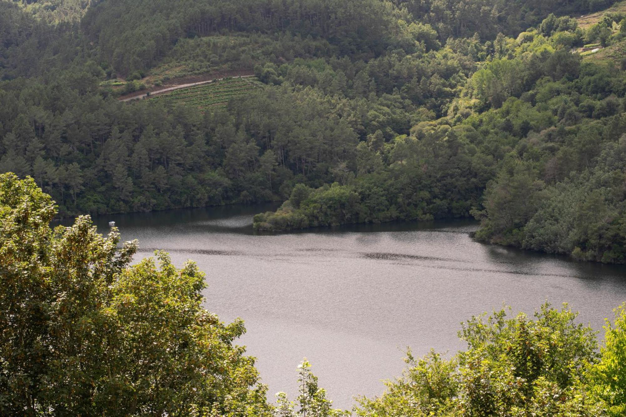 Ecolagar O Barqueiro Villa Pantón Eksteriør bilde
