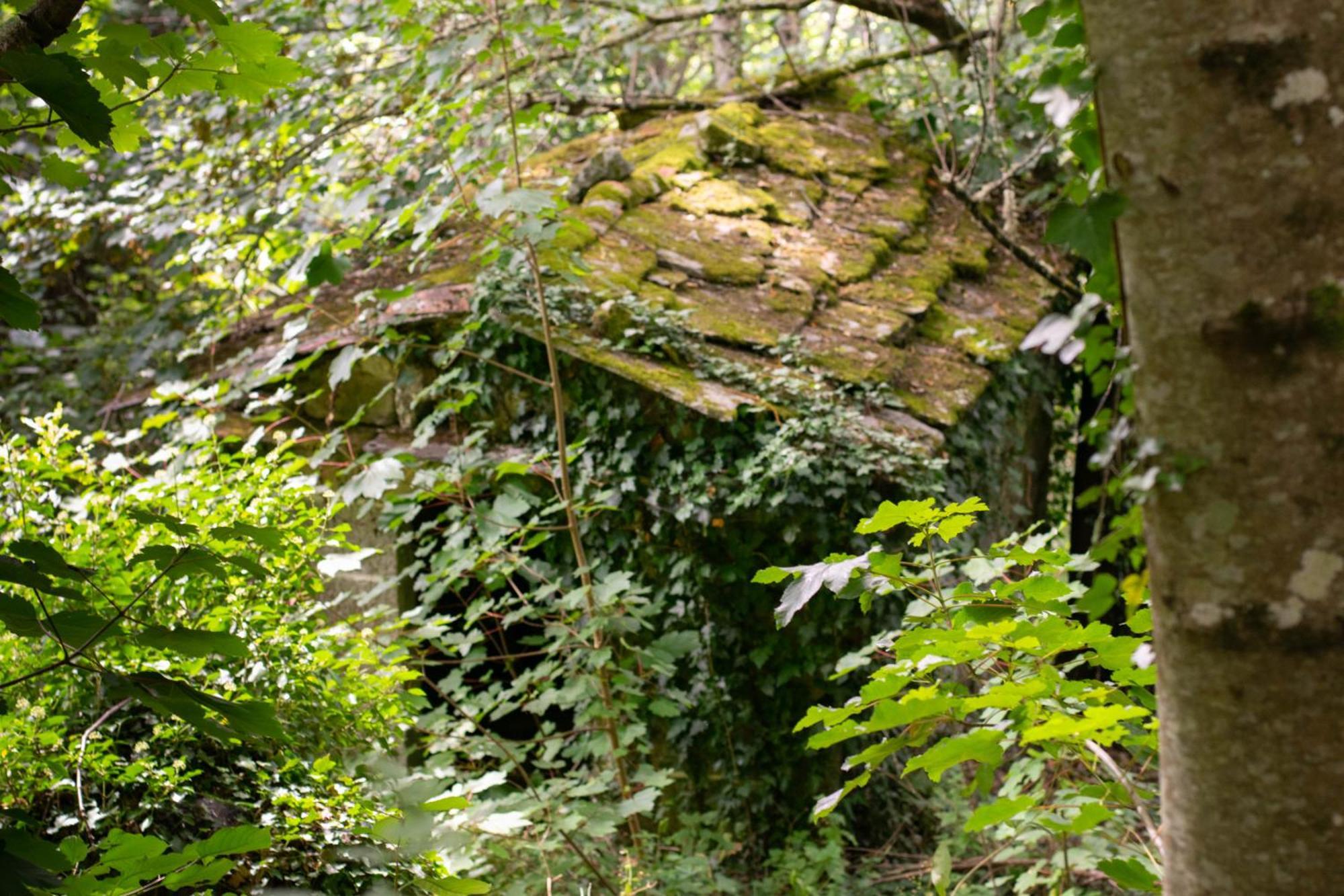 Ecolagar O Barqueiro Villa Pantón Eksteriør bilde