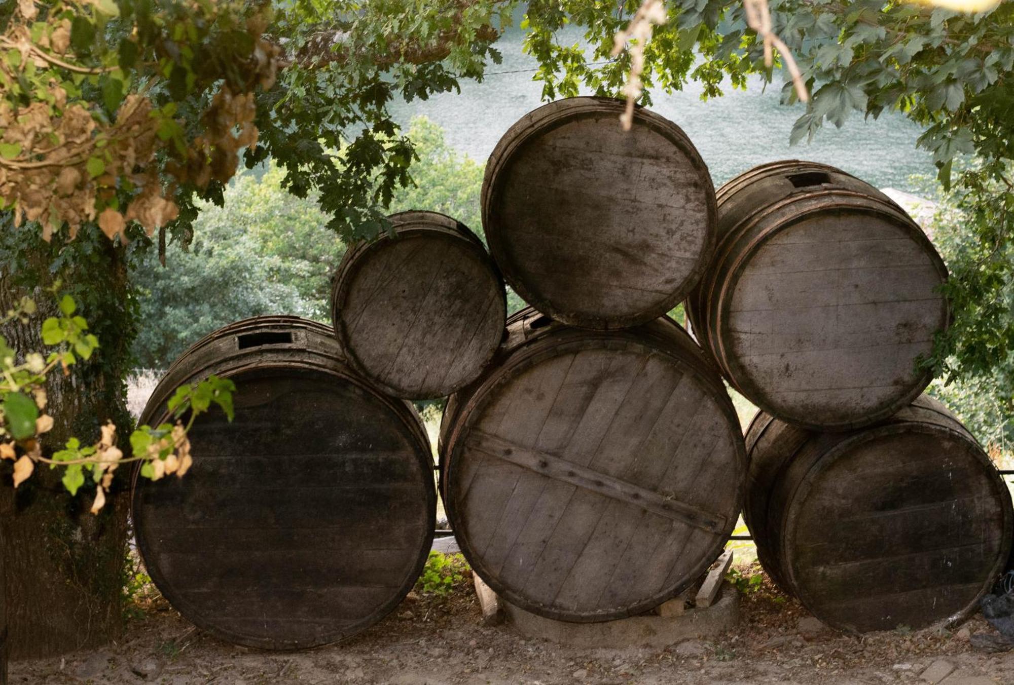 Ecolagar O Barqueiro Villa Pantón Eksteriør bilde